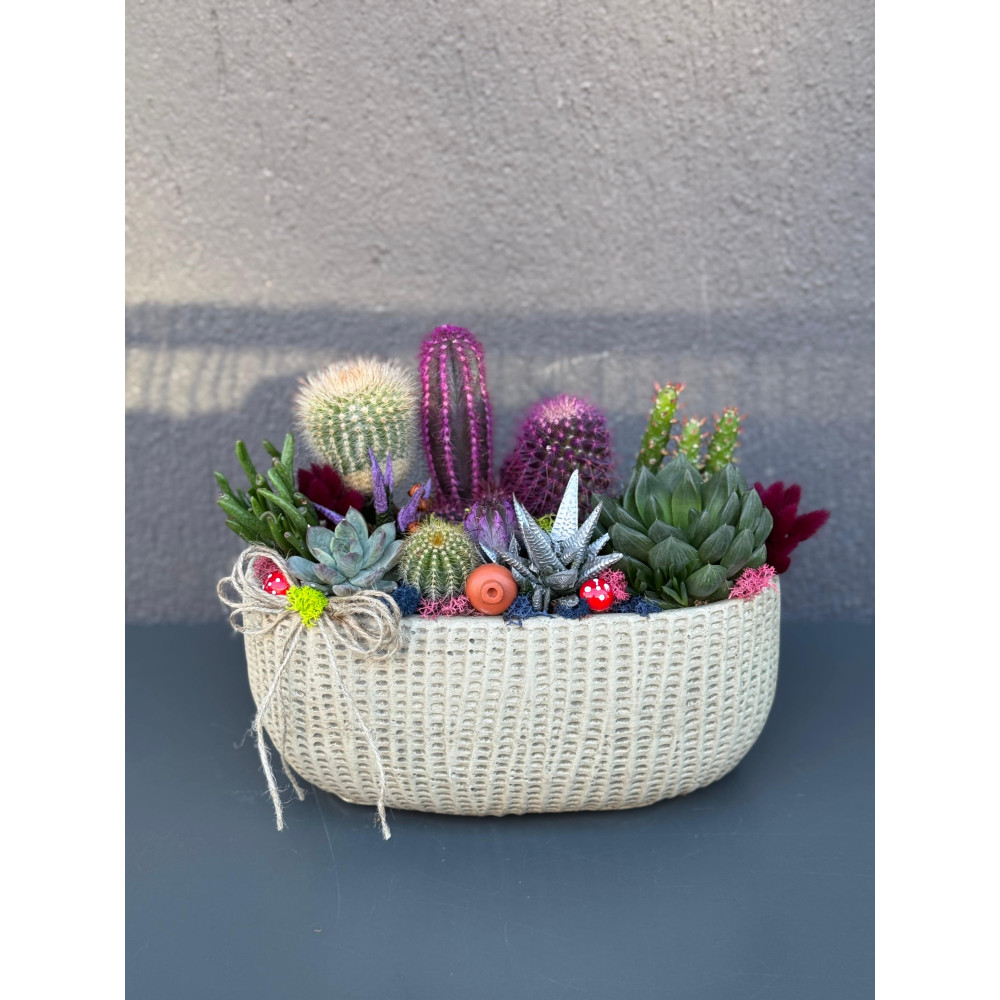 ÖZEL CANLI TERARYUM